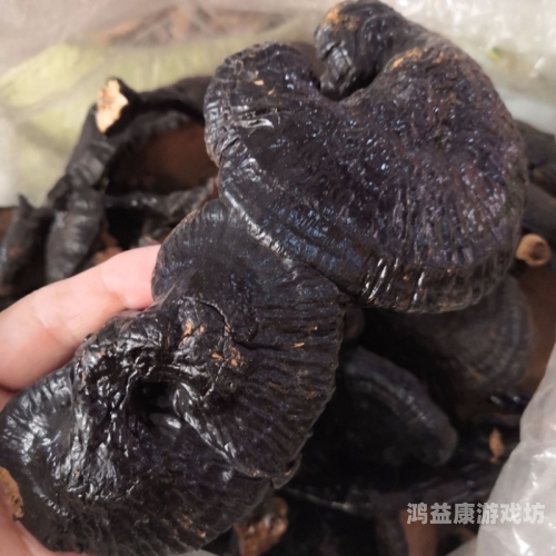 久久青草精品38国产，探索国产青草产品的独特魅力与市场前景