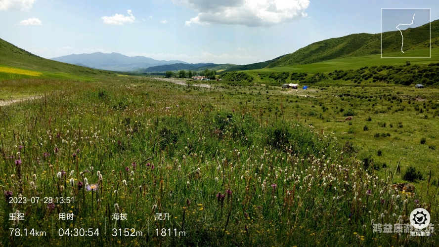 野花社区，探索免费观看视频的奇妙世界野花社区观看免费观看视频一一景甜