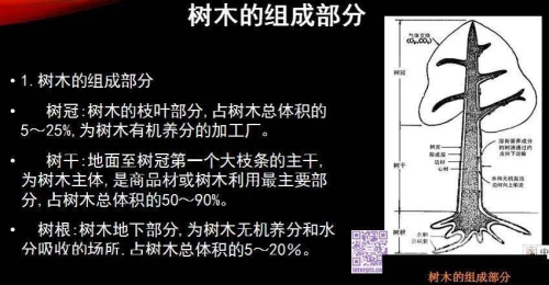 关于量的多维度探讨及其在现代社会中的重要性量比是啥意思