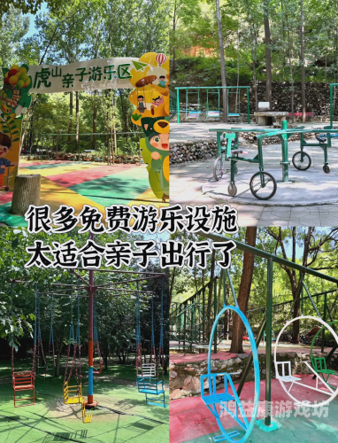 黄金矿工单人版手机版，开启您的探险之旅