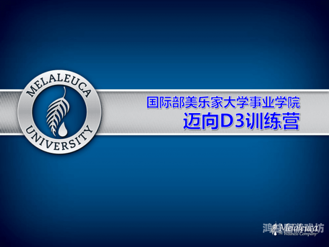 七个人攻略，揭秘成功的七个关键要素七个人攻略单通