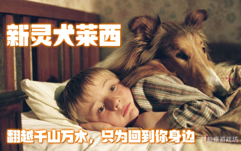 俺来也俺去啦久久综合网俺来也俺去啦久久综合网，一站式综合服务平台的全方位解析