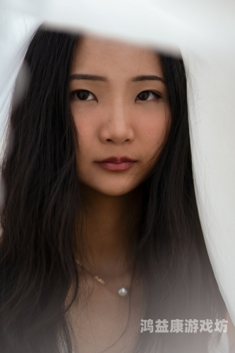亚洲日韩高清在线亚洲专区，探索最新影视资源与文化盛宴亚洲日韩高清在线亚洲专区,国产