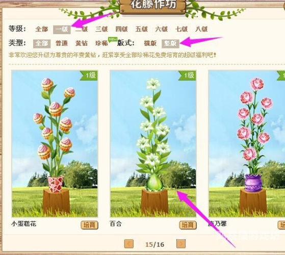 Q宠大乐斗手机版登录指南，畅享快乐时光，随时随地开启战斗！q宠大乐斗登录入口