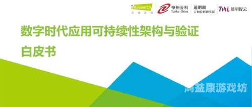 正版之路，探寻数字时代的版权保护与可持续发展