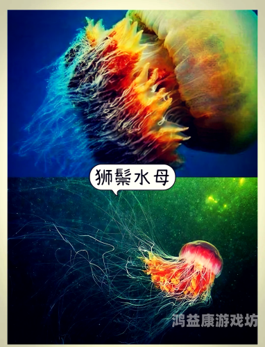在线亚洲精品国产二区图片欧美，探索全球视觉艺术的多样性