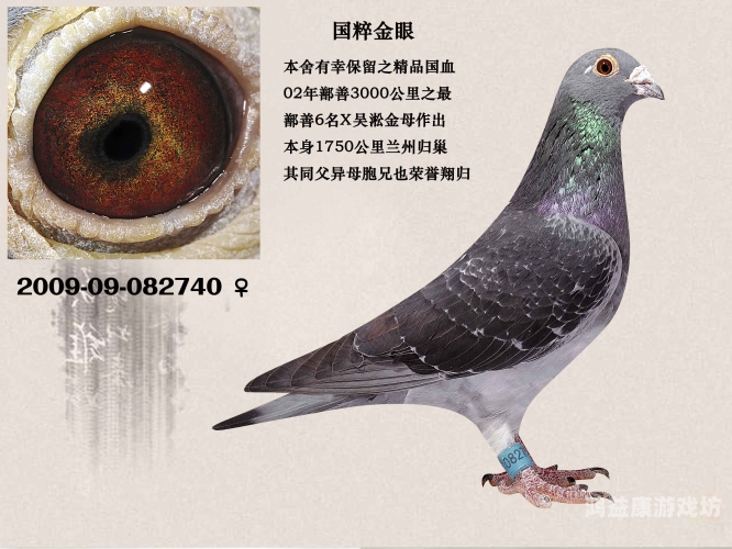 精品国产高清一区二区三区精品国产高清一区二区三区，探索中国影视产业的崛起与未来