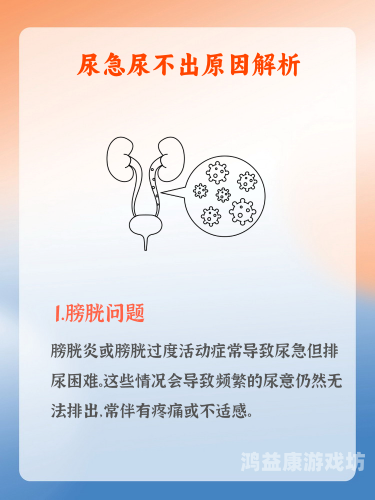 日本欧美高清乱码一区二区现象解析，数字时代下的文化碰撞与技术挑战