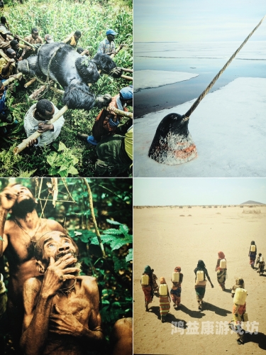 大地资源——探索地球深处的奥秘与奇迹大地资源中文在线观看免费高清电视剧狂飙