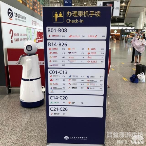 精品国产自在久久，探索中国本土品牌的崛起与未来精品精品国产自在久久_a