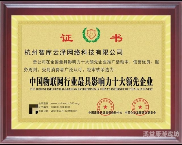 久久只有精品2021久久只有精品2021，回顾年度最具影响力的文化与科技精品