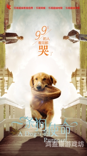 亚洲DvD在线，数字时代的影视娱乐新趋势亚洲电影 高清