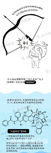 军旅肉质1v2，从菜鸟到精兵的蜕变之旅军旅肉质1v2的营养价值(蒜泥家的蒜)