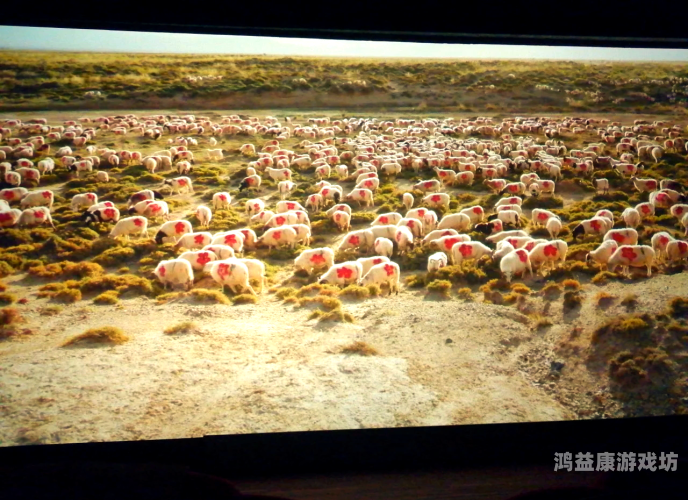 2021年中文字幕精品一区二区盘点，热门影视作品推荐与解析68影院
