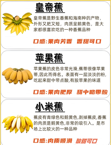 在线香蕉y亚洲视频在线香蕉y亚洲视频，探索亚洲影视文化的魅力与多样性