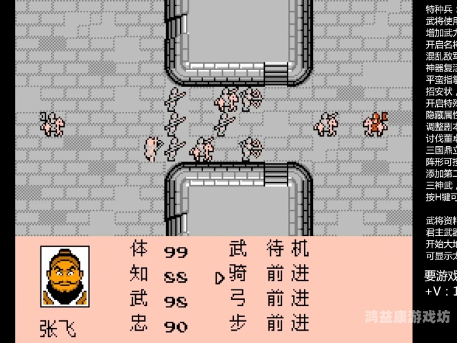 三国志2，霸王大陆中文版，探索群雄逐鹿的历史战场