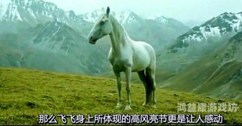 国产动画电影人与动物A级制作背后的故事国人au