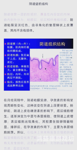伊人大杳蕉久久综合伊人大杳蕉久久综合，探索现代女性水蜜桃在线播放与生活方式的全面指南