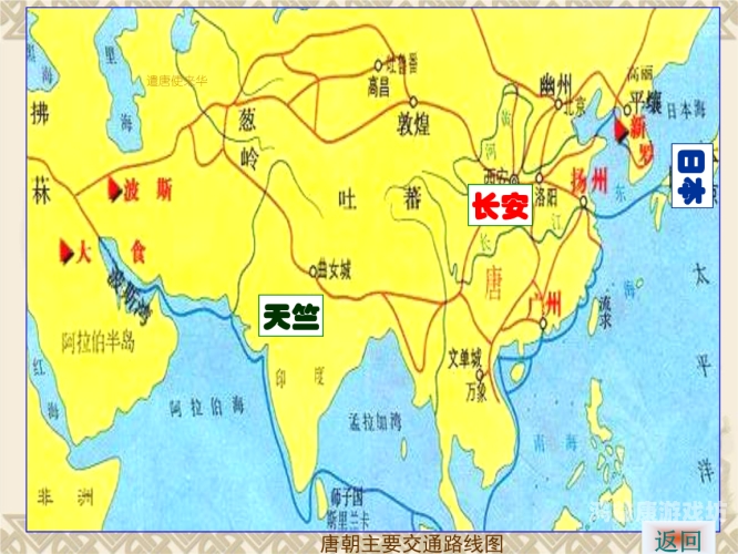亚洲欧美在线rrrr，全球文化交流的新趋势与影响亚州鸥美