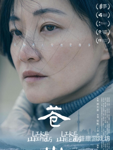 国产精品亚洲欧美在线播放国产精品亚洲欧美在线播放，全球影视文化的交融与创新