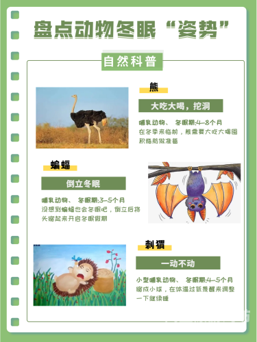 卡利隆王国攻略，探索魔法世界的终极指南