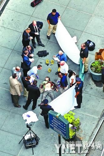 A精品无码免费看，探索网络视频内容的新趋势在 线 无 码 a v