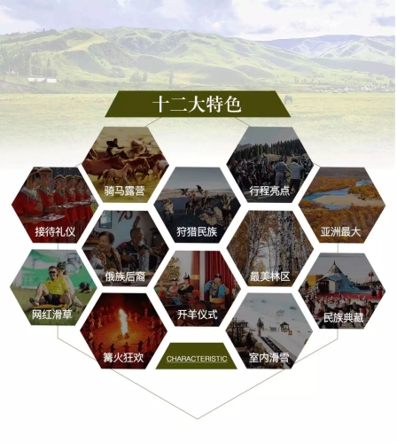 亚洲狼综合人网站亚洲狼综合人网站，探索亚洲文化与现代科技的完美融合