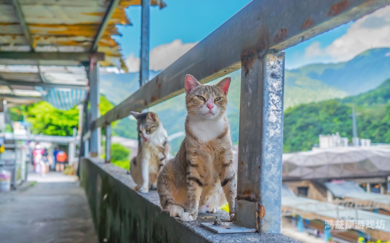 猫咪av最新永久网址无码猫咪AV最新永久网址无码，了解猫咪行为与水蜜桃在线播放的重要性