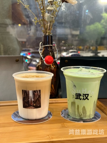 九九热热久久只有精品视频九九热热久久只有精品视频，探索优质视频内容的魅力与价值