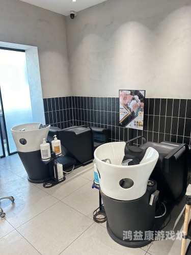 GOGOGO高清在线播放，观影新体验与版权挑战gogogo手机免费高清电视