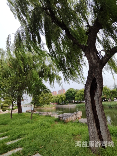 1青草国产超碰人人青草国产超碰人人，探索中国草业发展的新机遇与挑战