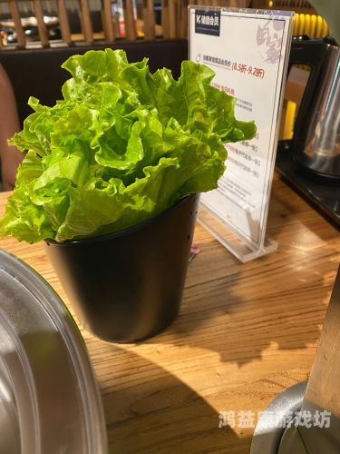 久久黑牛影视一区二区，深度解析与用户指南