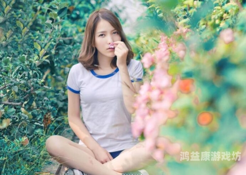 四虎精品视频一区二区四虎精品视频一区二区，深度解析其内容与用户需求