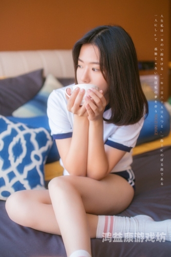 秋霞网av一区二区三区秋霞网AV一区二区三区，深度解析与用户指南