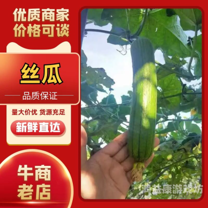 一区二区免费高清观看国产丝瓜一区二区免费高清观看国产丝瓜，优质影视资源的便捷获取方式