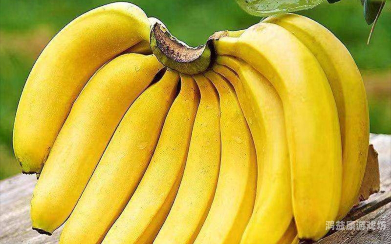 香蕉精品亚洲二区在线观看，探索亚洲影视文化的魅力香蕉wwwcc5