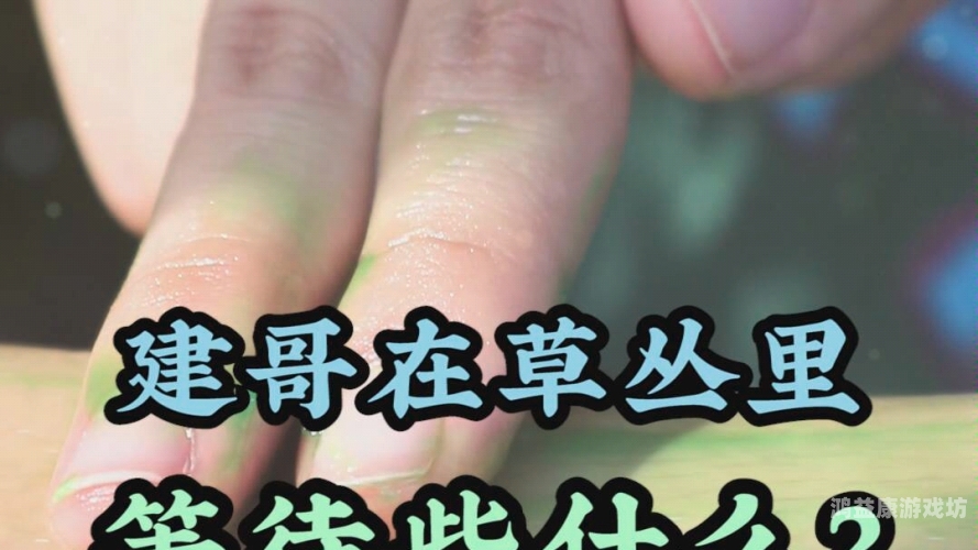 青草青草久热精品视频在线播放青草青草久热精品视频在线播放平台解析，内容、用户体验与市场前景