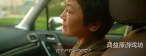 加勒比一本久久国产精品，探索国产电影的崛起与创新