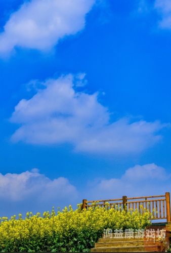 无网单机手机游戏，探索数字时代的静谧角落