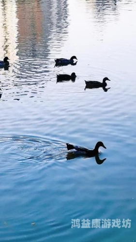 无网单机手机游戏，探索数字时代的静谧角落