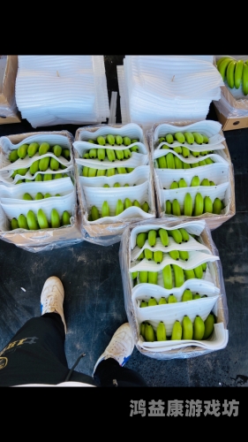 精品香蕉一区二区三区浪潮，品质与市场的双重崛起一区2121