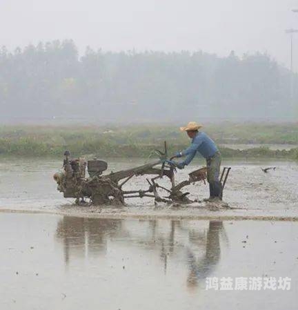 农村在线高清无码不卡农村在线高清无码不卡，科技赋能乡村振兴的新篇章