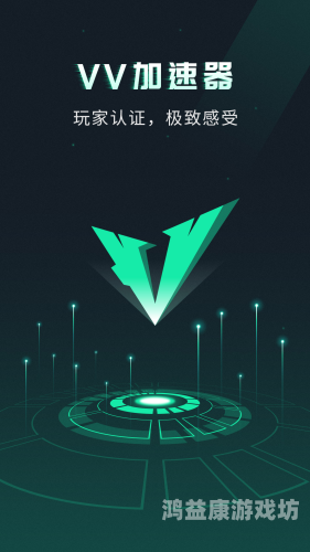 黑洞VP加速器，开启虚拟专用网络新纪元黑洞加速器下载永久免费版