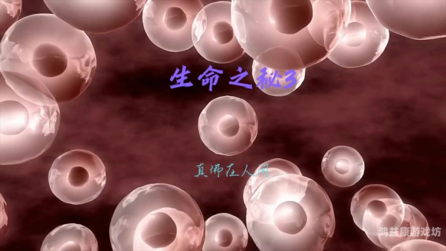 探索精品秘无码一区二区三区的魅力与价值