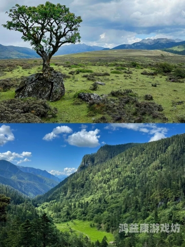 探索精品秘无码一区二区三区的魅力与价值