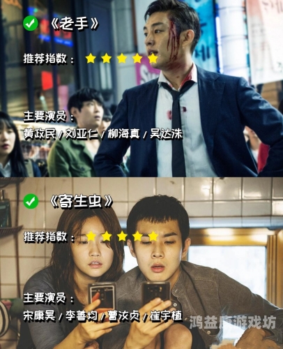 电影去哪看？全面解析观影平台与选择策略电影去哪个网站可以不用vip