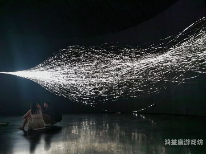 探索数字高清图像的无限魅力，技术、应用与未来展望