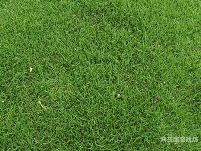 青草国产精品无码VA在线观看，探索国产影视作品的崛起与未来发展青草 a