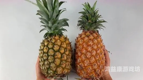 蚂蚁庄园种麦子游戏攻略，体验虚拟农业的乐趣与挑战