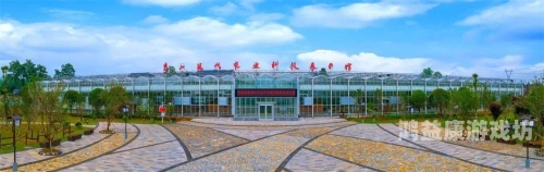 蚂蚁庄园种麦子游戏攻略，体验虚拟农业的乐趣与挑战